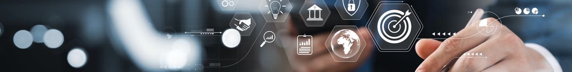 Professional Services